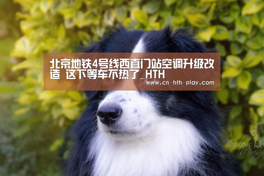 华体会app